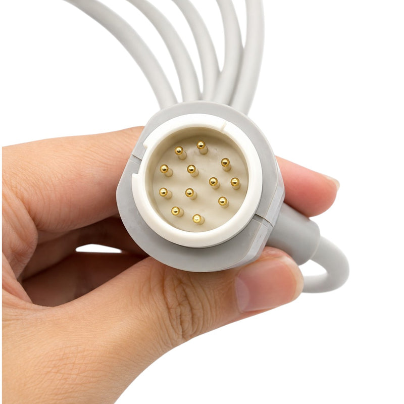 Philips Compatible 12 Pin monitor connector and 5 clip-type lead connectors.