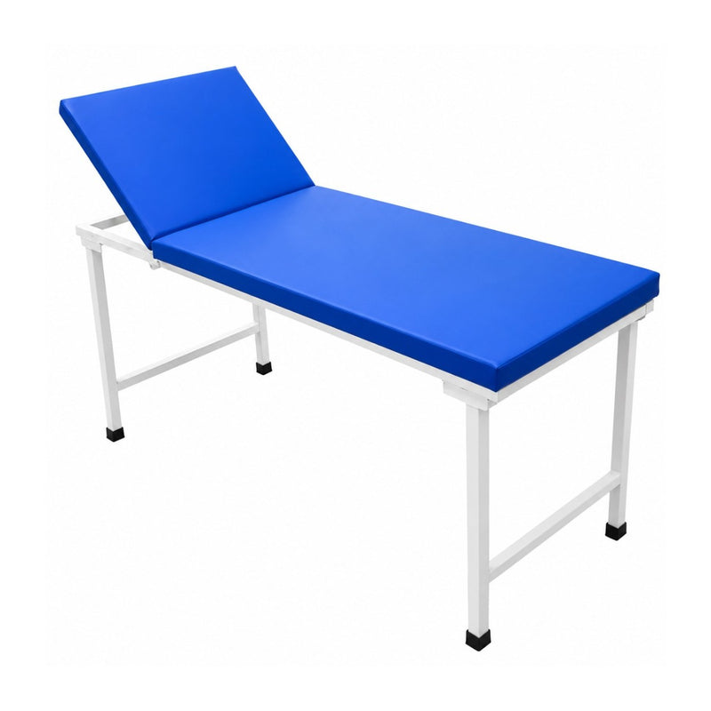 Biotronix Instruments two section examination table with adjustable backrest