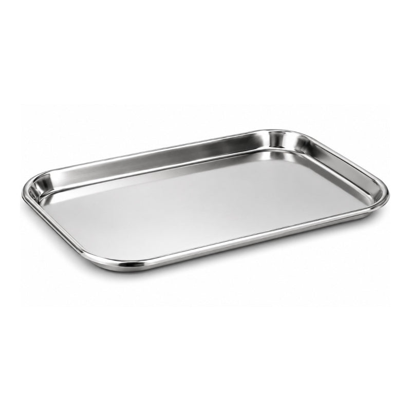 Biotronix Instruments stainless steel Mayo and dental tray