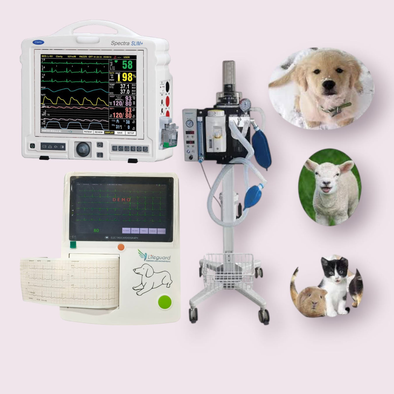 Veterinary Medical Equipement